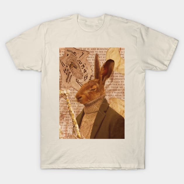 down the rabbit hole T-Shirt by spoz